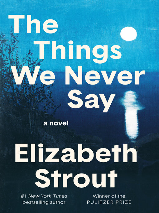 Cover image for The Things We Never Say